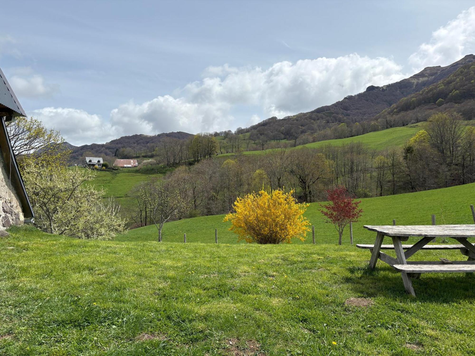 Вилла Le Pradima Mandailles-Saint-Julien Экстерьер фото